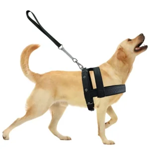 Coleira Peitoral para Cachorros Grandes e Guia de Passeio Anti Impacto Peitoral Fita Coleira Pet